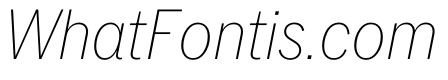 PPNeueYorkItalic NarrowThinItalic Instance