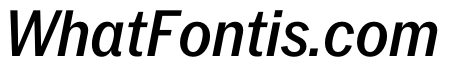 PPNeueYorkItalic NarrowMediumItalic Instance