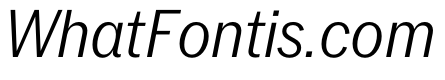 PPNeueYorkItalic NarrowLightItalic Instance
