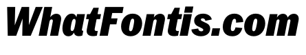 PPNeueYorkItalic NarrowBlackItalic Instance