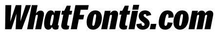 PPNeueYorkItalic CondensedBlackItalic Instance