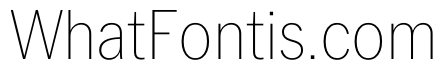 PPNeueYork NarrowThin Instance