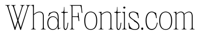 PPNeueWorld Thin Instance