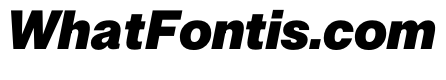 PPNeueMontreal BlackItalic Instance