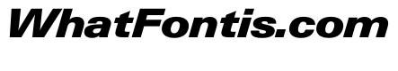 PPNeueGstaadWide WideBlackItalic Instance