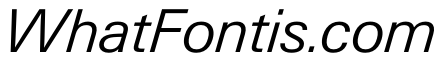 PPNeueGstaadNormal LightItalic Instance