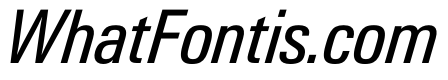PPNeueGstaadNarrow NarrowRegularItalic Instance