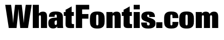 PPNeueGstaadCondensed CondensedBlack Instance