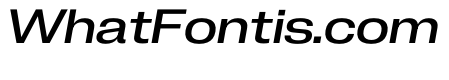 PPNeueCorp WideMediumItalic Instance