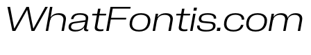 PPNeueCorp WideLightItalic Instance