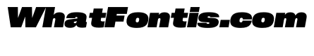 PPNeueCorp WideHeavyItalic Instance Cedf7af0
