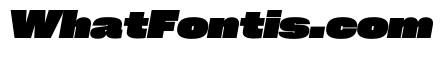 PPNeueCorp WideBlackItalic Instance