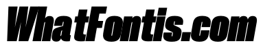 PPNeueCorp TightBlackItalic Instance