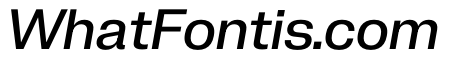 PPNeueCorp NormalMediumItalic Instance