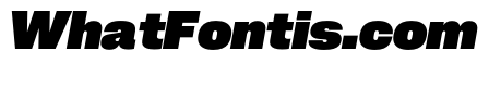 PPNeueCorp NormalHeavyItalic Instance 3834253a