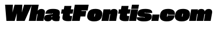 PPNeueCorp NormalBlackItalic Instance
