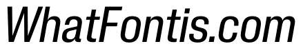 PPNeueCorp NarrowMediumItalic Instance 2c05f309