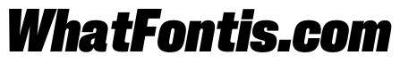 PPNeueCorp NarrowHeavyItalic Instance