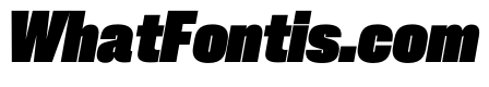 PPNeueCorp NarrowBlackItalic Instance 19ad7985