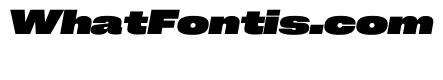 PPNeueCorp ExtendedHeavyItalic Instance 73ff21e3