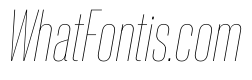 PPNeueCorp CondensedThinItalic Instance