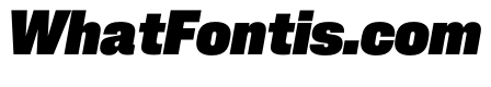 PPNeueCorp CompactHeavyItalic Instance