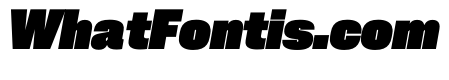 PPNeueCorp CompactBlackItalic Instance