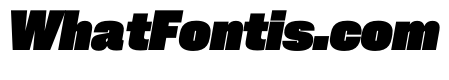 PPNeueCorp CompactBlackItalic Instance 93a4a272