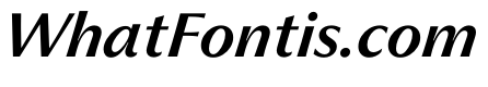 PPMuseum MediumItalic