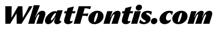 PPMuseum BlackItalic