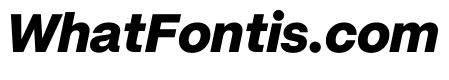 PPMori HeavyItalic