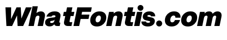 PPMori BlackItalic Instance