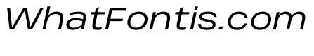 PPMonument WideItalicBook Instance