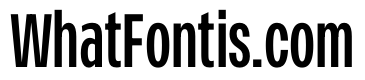 PPMonument CondensedMedium Instance