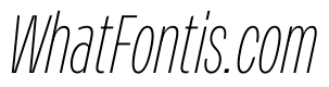 PPMonument CondensedItalicThin Instance 241facb9