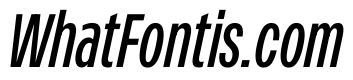 PPMonument CondensedItalicRegular Instance 06b47e6d