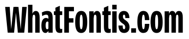 PPMonument CondensedBold Instance B2822a2c