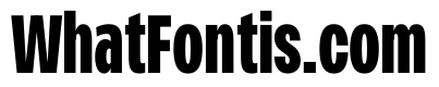 PPMonument CondensedBlack Instance F9056160