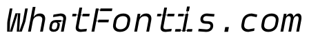 PPModelPlastic RegularItalic Instance
