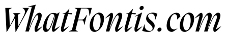 PPMigraItalic MediumItalic
