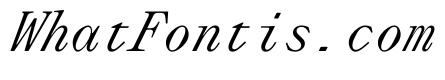 PPLettraMono RegularItalic Instance