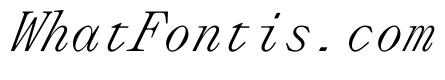 PPLettraMono LightItalic Instance