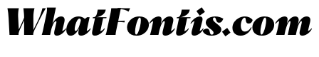 PPHatton BlackItalic Instance
