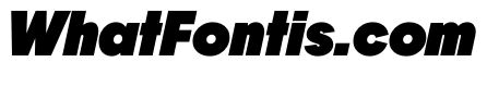 PPFrama BlackItalic