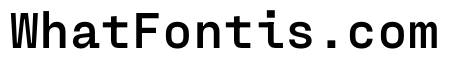 PPFraktionMono Bold Instance
