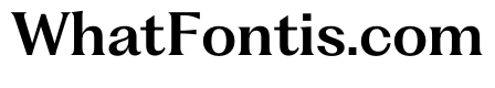 PPFragmentText SemiBold Instance