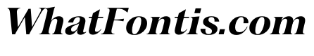 PPFragmentSerif BoldItalic Instance