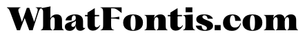 PPFragmentSerif Black Instance