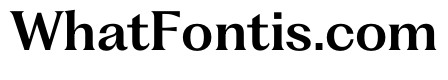 PPFragment TextSemiBold Instance