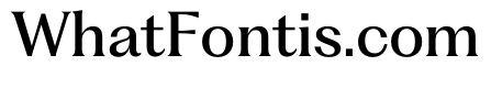 PPFragment TextMedium Instance